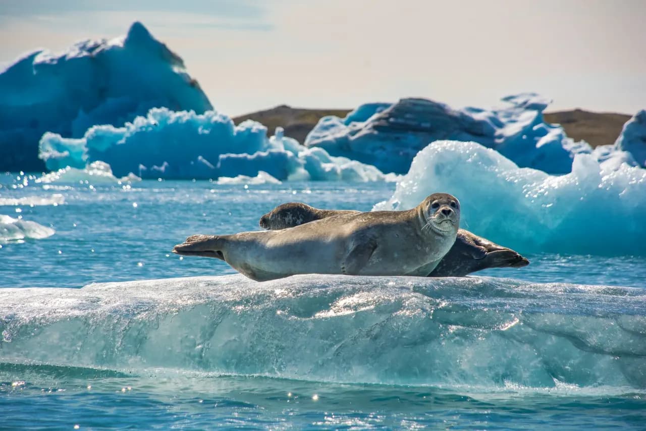 Glacier lagoon scenery