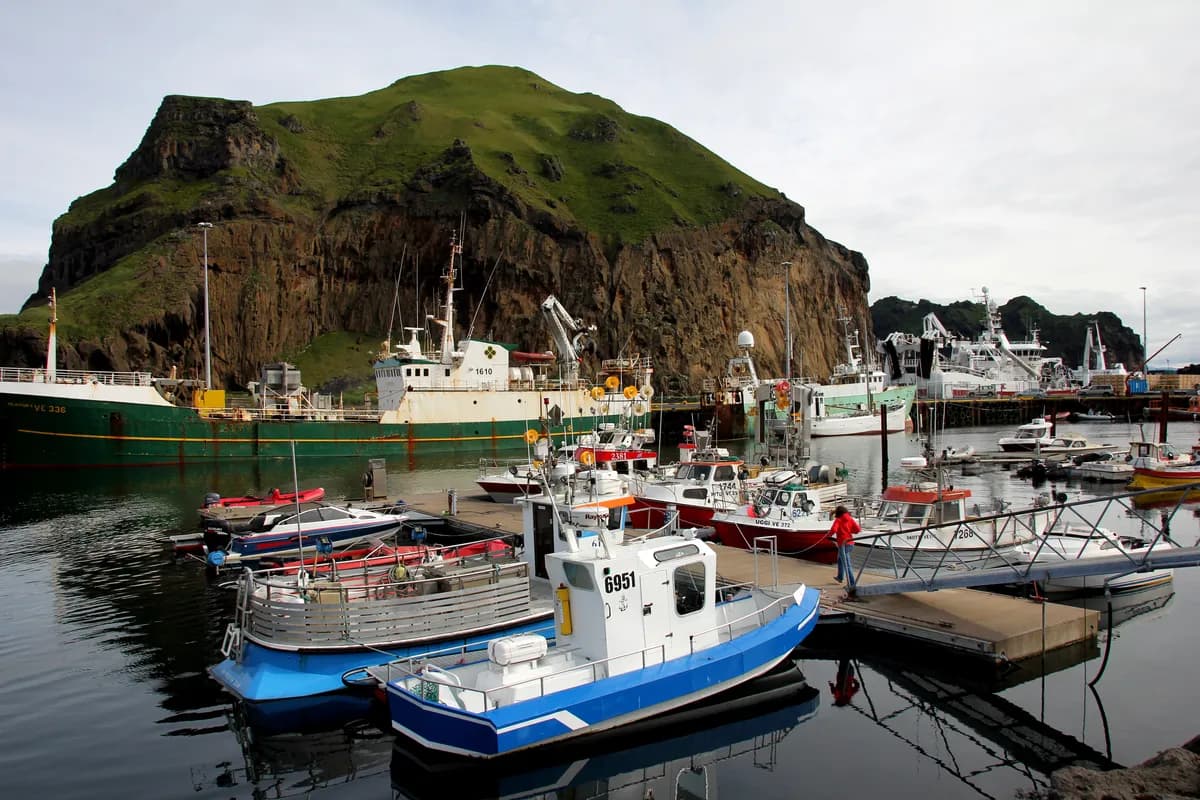 Heimaey harbour